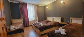 cottage bakuriani - 3