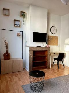 Beau studio cosy et meublé Loos lez Lille, France - 6