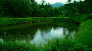 BYMANA HOME STAY - 1