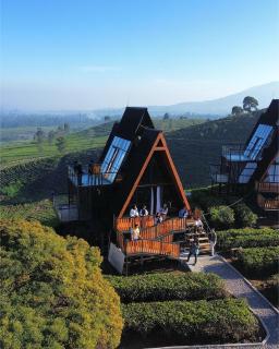 Nimo Tea Resort - 9