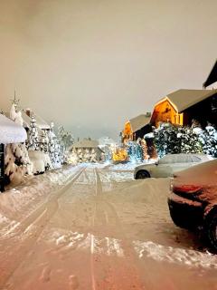 Green Hill Zlatibor Apartment - Palisad - 6