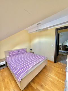 Green Hill Zlatibor Apartment - Palisad - 2