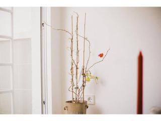 SkyLine penthouse in the heart of Madrid TET - 7