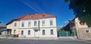 Apartment Hans - Wohnen im Herzen des Drautales - Feistritz an der Drau - 8