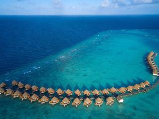 Mercure Maldives Kooddoo - Adults - Only Escape - 50 percent off Transfers - Gaafu Alifu Atoll - 5