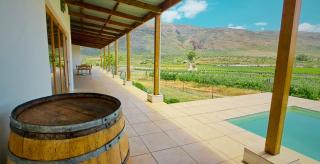 Mountainview Vineyards - Robertson - 3