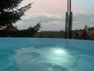 Cabana Alina - Păltiniş - 1