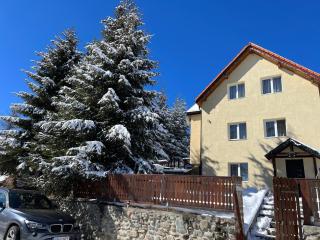 Cabana Alina - Păltiniş - 0