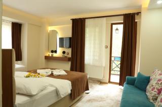 ABANT DORT MEVSİM KONAĞI HOSTEL - 1