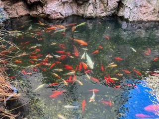 Garden Apartment - Herastrau Park 3min Walk - 4