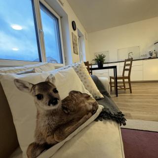 Ferienwohnung Auf Der Höll - - 0