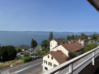 IMMODREAMS - L'Attik with lake views and 80m2 terrace - Évian-les-Bains - 7