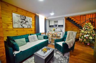 Evergreens houses Zlatibor - - 5
