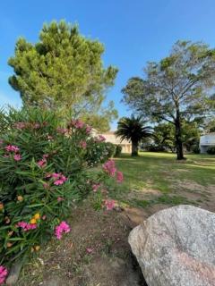 Appartement à Cala Rossa - Lecci - 4