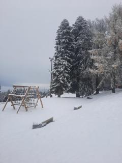 Apartment - Golden Fox 18 - Pohorske terase - Hočko Pohorje - 4