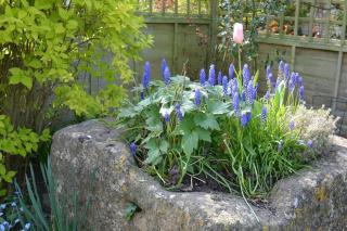 Bear's Cottage Bretforton - Bretforton - 1