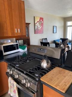 Top of the Hill Blue Sunshine - 2