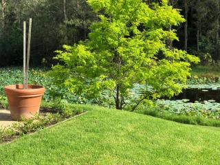Garden Hill Sandstone Villas: Shoalhaven NSW Australia - Camberwarra - 8