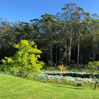 Garden Hill Sandstone Villas: Shoalhaven NSW Australia - Camberwarra - 1