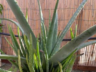 Attico Acquaviva vicino Centro Storico - 6