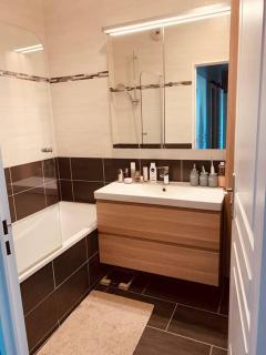 Logement F3 moderne, un petit paradis a Paris ! - Le Plessis-Robinson - 4