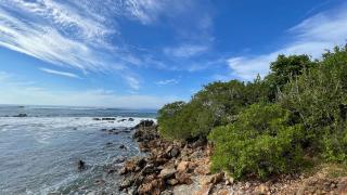 Casa bugambilias - Troncones - 1