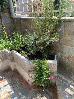 Gemütliches Appartement in Ano Poli - Salonicco - 5