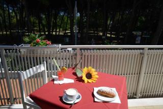 Hotel San Domenico Pinarella - Cervia - 3