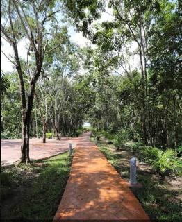 New 3 Bedroom Cozy Apartment in Playa del Carmen - Playa del Carmen - 5