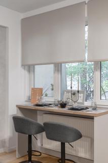 Moonlight Studio near City Center - 2