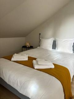 bel appartement tout juste rénové - Vierzon - 1