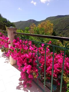 B&B M&M - Finale Ligure - 8