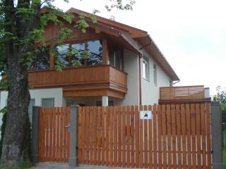 Exclusive Mansion Jurmala - 9