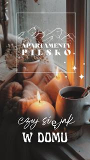 Apartamenty Pilsko - Korbielów - 9