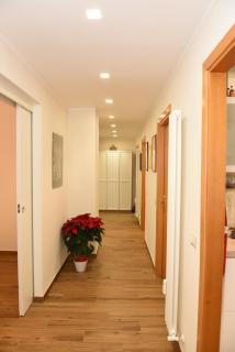 Camera e cameretta con bagno privato - Roma - 5