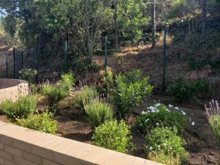 Hermoso y cómodo departamento en Viña del Mar - 1