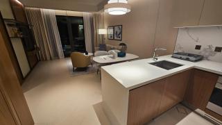 Luxury apartment in the Address Opera - 9