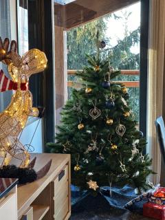 Courchevel Chalet SUMMIT 5 stars - 7