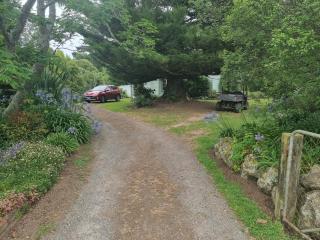 Garden Paradise Siochain House - Carterton - 7