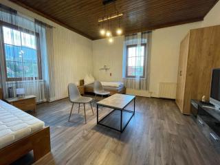 Villa Ganzstein Appartement - Mürzzuschlag - 6