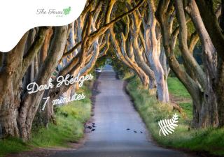 The Ferns-Ideal base for exploring the Causeway Coast - Armoy - 8