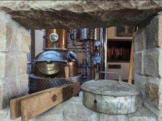 Brauereigasthof Dachsenfranz - 6