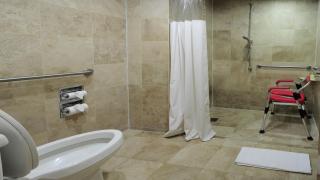 Holiday Inn Uruapan by IHG - Uruapan del Progreso - 7