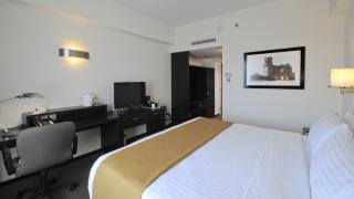 Holiday Inn Uruapan by IHG - Uruapan del Progreso - 6