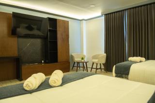 HOTEL MERLOT INN - Ezequiel Montes - 7