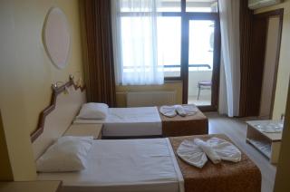 Ayvalık Palas Hotel - Ayvalık - 3