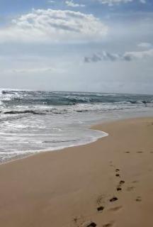 Serendip Villa Holiday Home Talalla Sri Lanka - Talalla South - 1