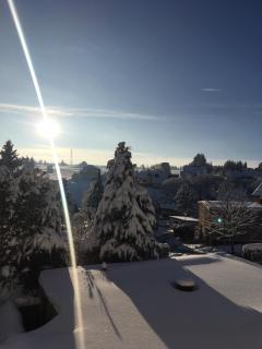 Rhöner Sternenhimmel - Frankenheim - 2