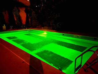 Modern Sunny 2 BR apartment, with pool and big yard - 2