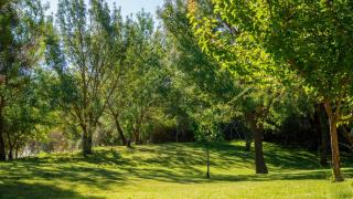 Molino Higueral Villanueva del Trabuco by Ruralidays - Villanueva del Trabuco - 5